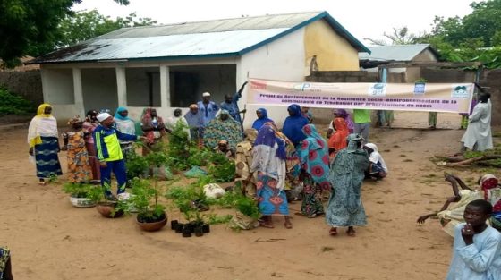 Lutte contre la désertification 1000 plants de neem et d&rsquo;arbres fruitiers